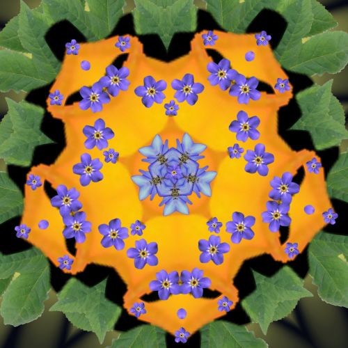 Digital Flower Mandala
