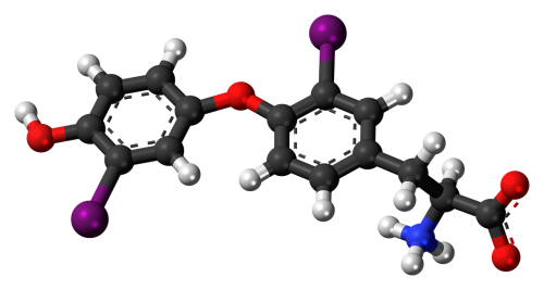diiodothyronine molecule chemistry