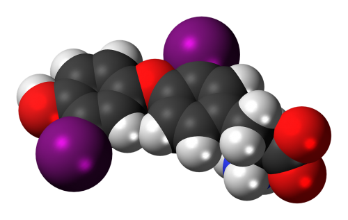 diiodothyronine molecule chemistry