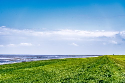 dike  north sea  dorum