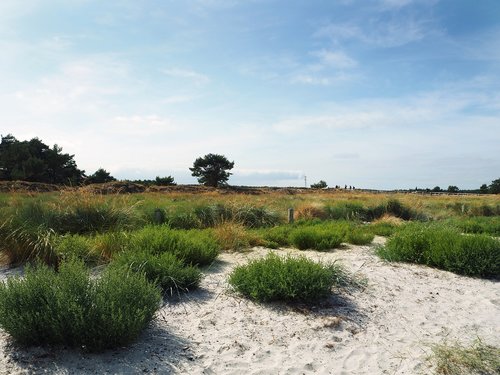 dike  nature  landscape