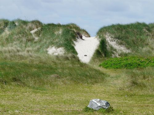 dike north sea nordfriesland