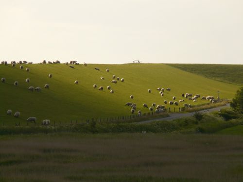 dike north sea nordfriesland