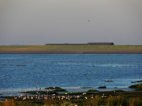 dike north sea background