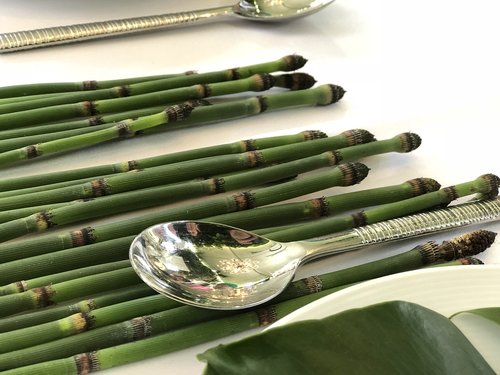 dining  exotic  bamboo
