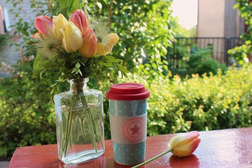 dining table  mug  coffee