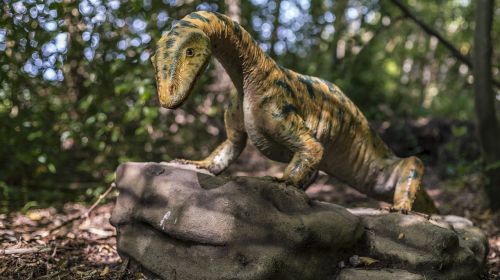 dino dinosaur reptile