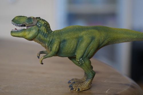 dino dinosaur tyrannosaurus rex