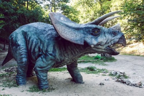 dinopark dinosaur triceraptos