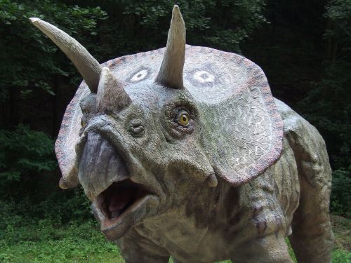 dinosaur park prehistoric times