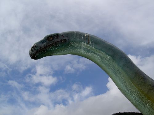 dinosaur long jibe park