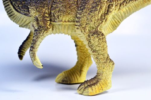 dinosaur tyrannosaurus toy