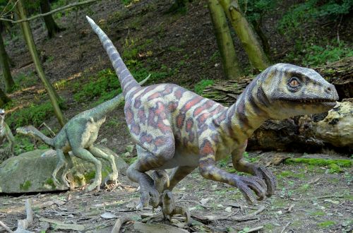 dinosaur dinopark the prehistoric