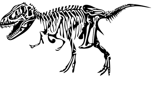 dinosaur tyrannosaurus bone