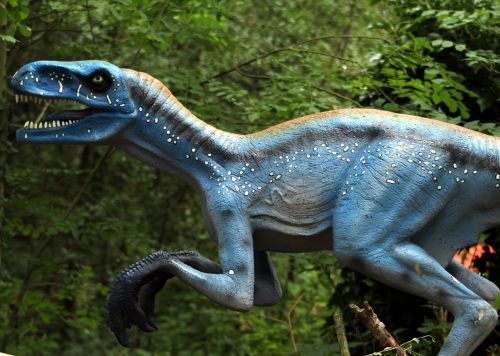 dinosaur reptile prehistoric