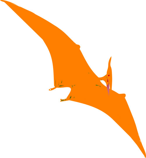 dinosaur fly wings