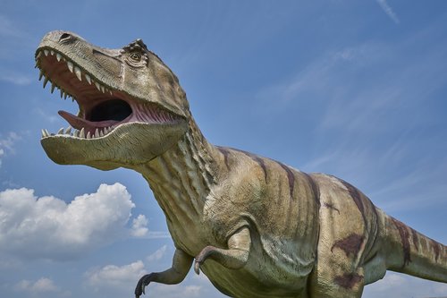 dinosaur  prehistoric  carnivores
