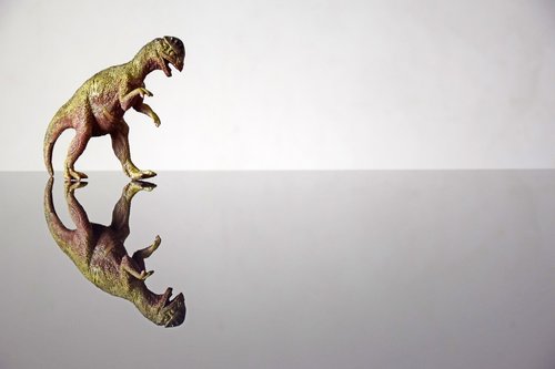 dinosaur  mockup  background