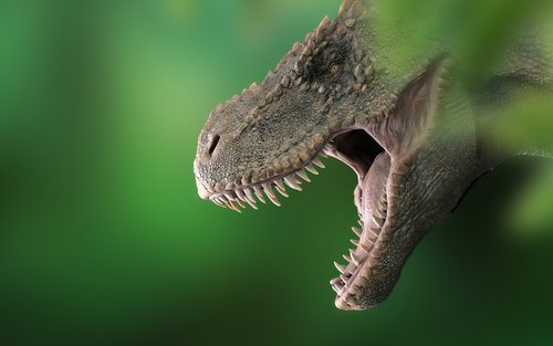 dinosaur  tyrannosaurus  dino