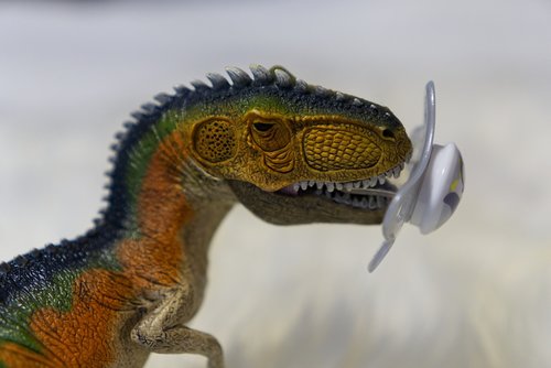 dinosaur  pacifier  sucking