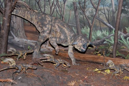 dinosaur psittacosaurus psittacosaurus mongoliensis