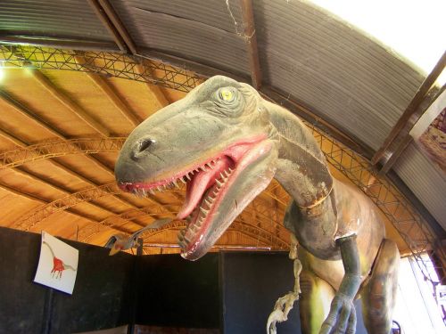 dinosaur saurus tiranosaurio