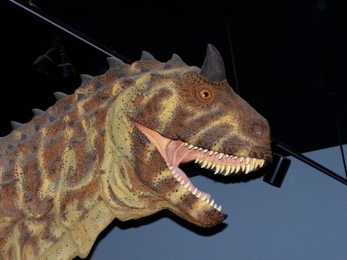 dinosaur museum model