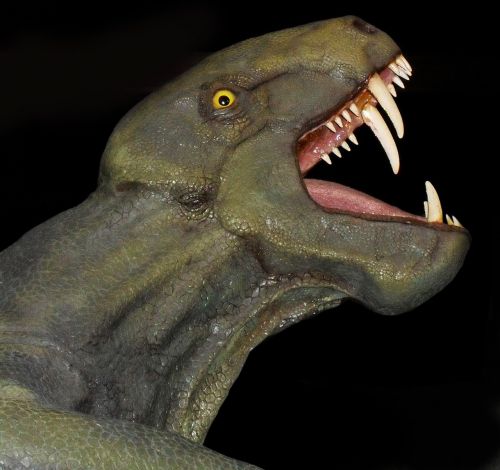 dinosaur gorgonops fossil