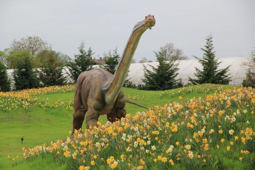dinosaur jurassic park flowering field