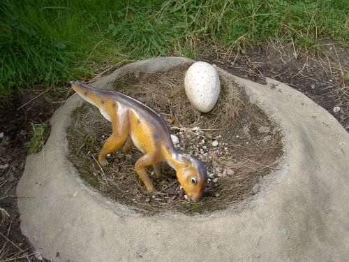 dinosaur nest egg earth