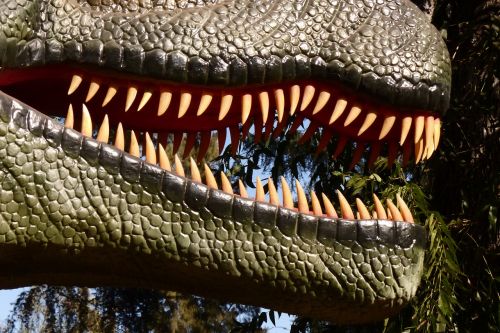 dinosaur teeth teeth reptile