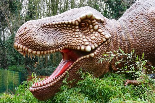 dinosaurs prehistoric jurassic