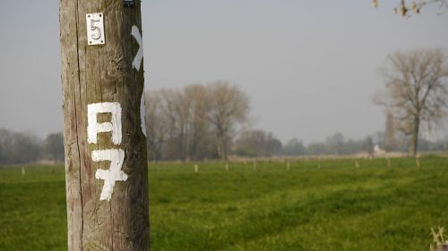 directory signposts wood