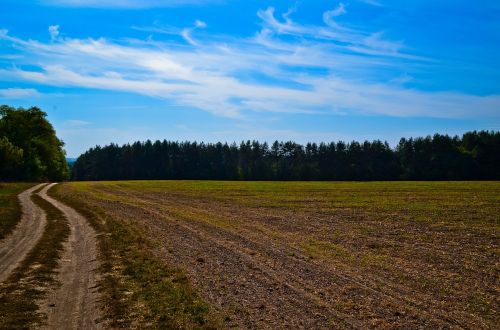 dirt road rural