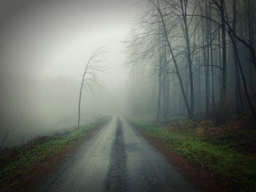 dirt road fog