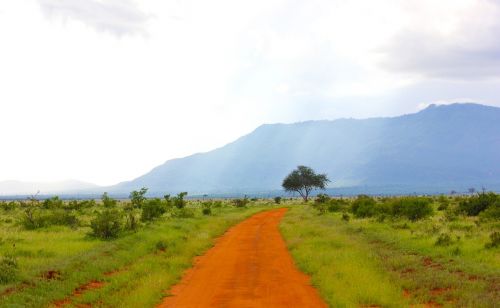 dirt road landscape