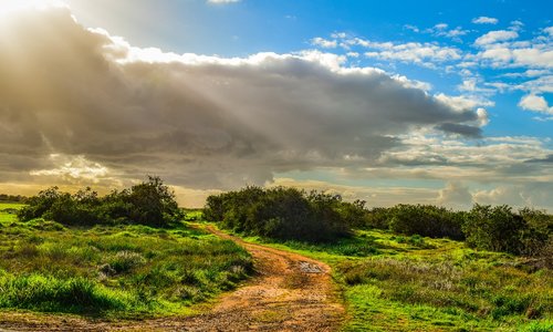 dirt road  countryside  landscape