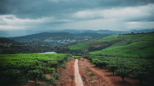 dirt road mountain valley