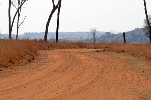Dirt Road In Grassland