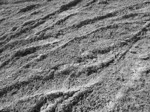 Dirt Texture 2