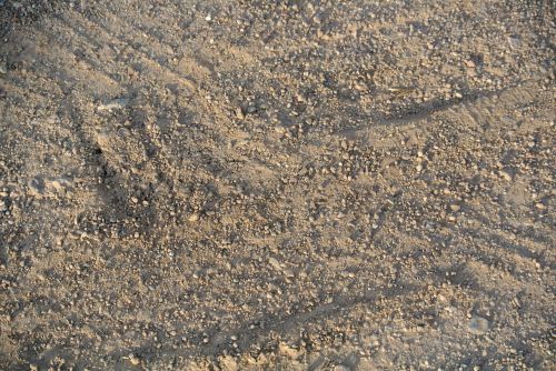 Dirt Texture