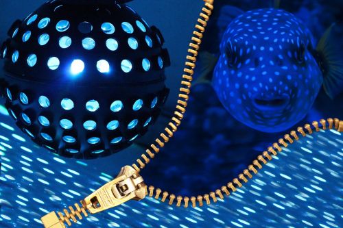 disco ball disco nightclub