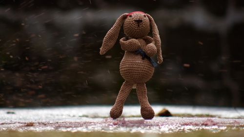 dispute hare stuffed animal