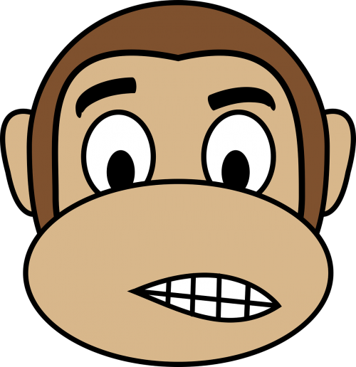 dissatisfied face monkey