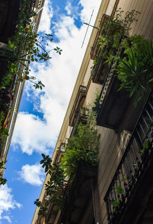 district balconies sky