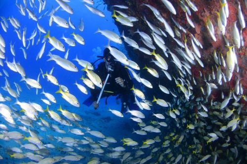 dive blue diving deep