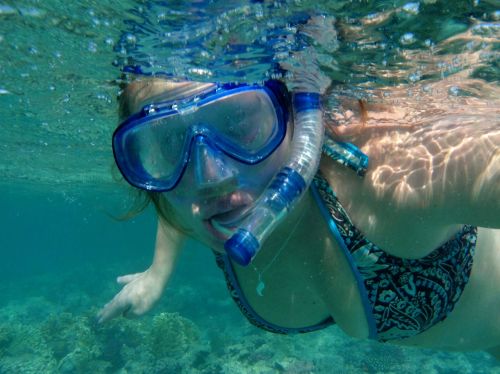 diver snorkeling diving goggles