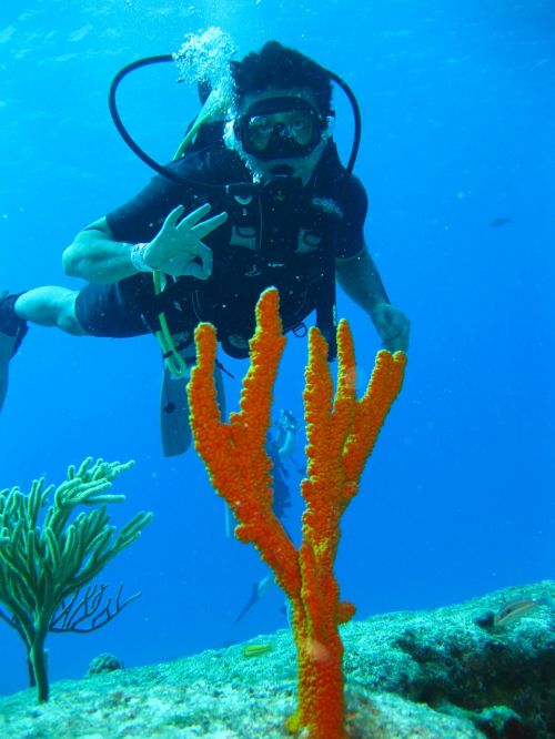 diver undersea sea