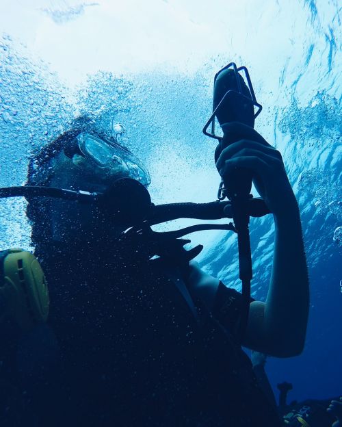 diver diving exploration