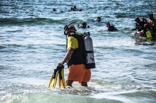 diver diving ocean